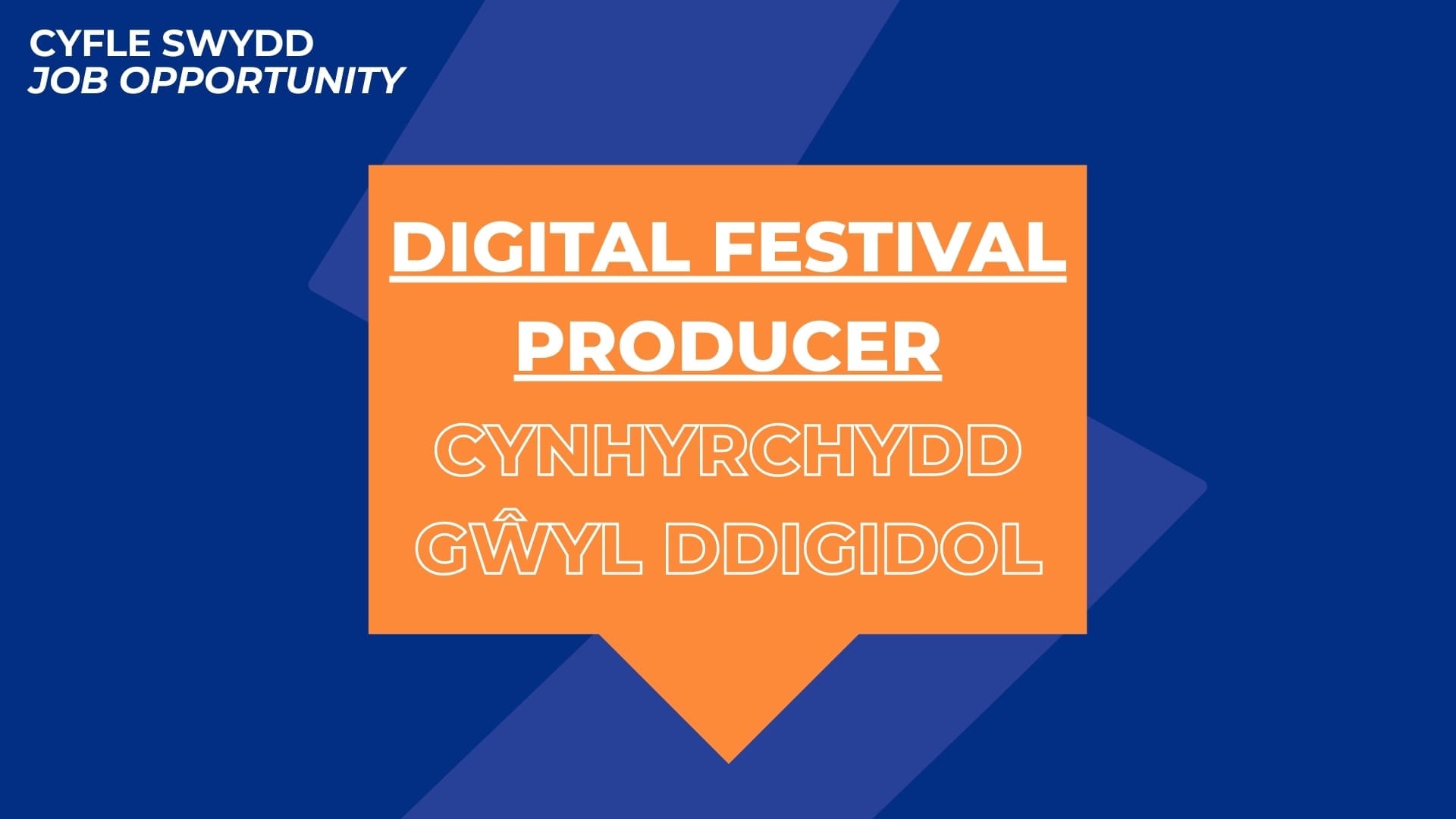 JOB OPPORTUNITY - festival producer